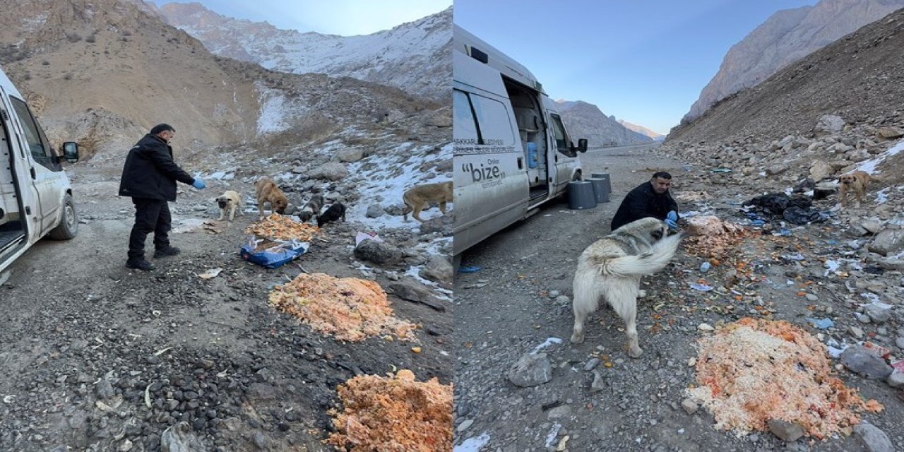 DONDURUCU SOĞUKTA CAN DOSTLARA YİYECEK BIRAKILDI