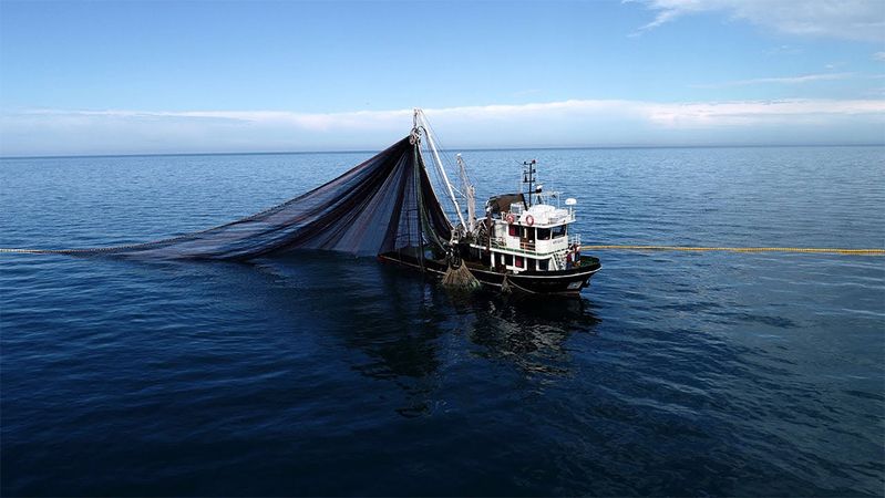 İHRACATTA ÇIĞIR AÇTI