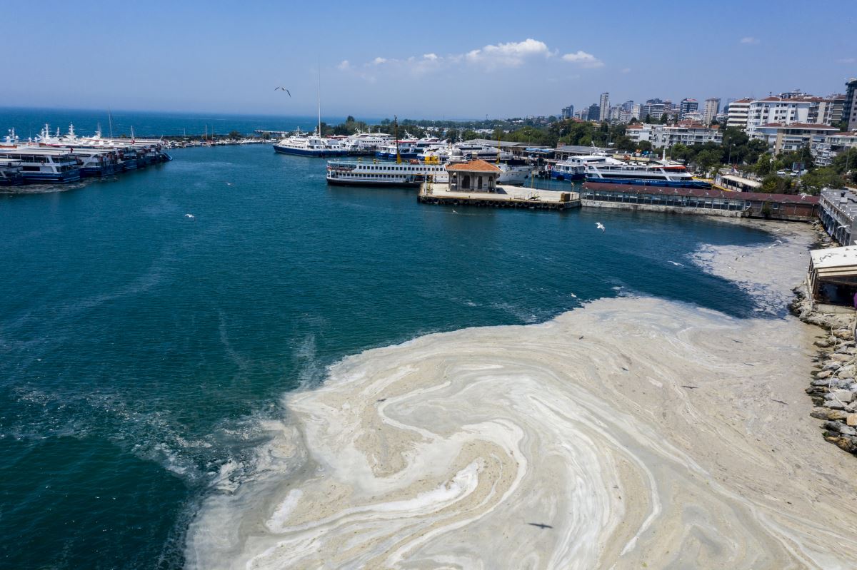 PROF. DR. SARI: “MÜSİLAJ 7 HAFTA İÇİNDE MARMARA'NIN TÜMÜNE YAYILDI”