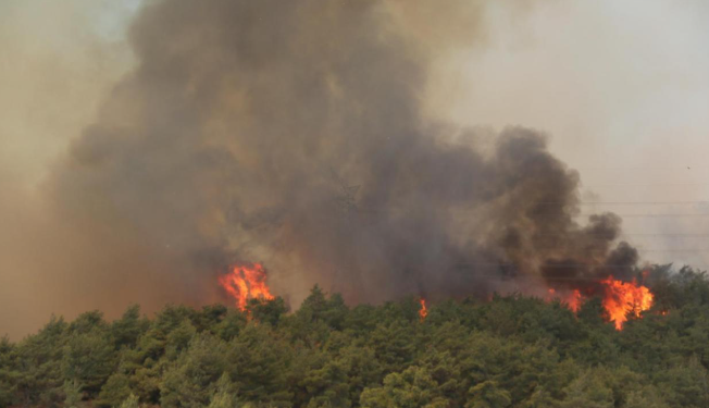 TÜRKİYE'DE 5 GÜNDE 342 YANGIN ÇIKTI