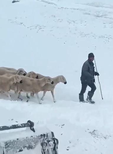 Sivas’ta mahsur kalan 4 çoban ve bin koyunun kurtarılma anı kamerada
